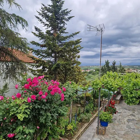 Sunflower * Sfendamion