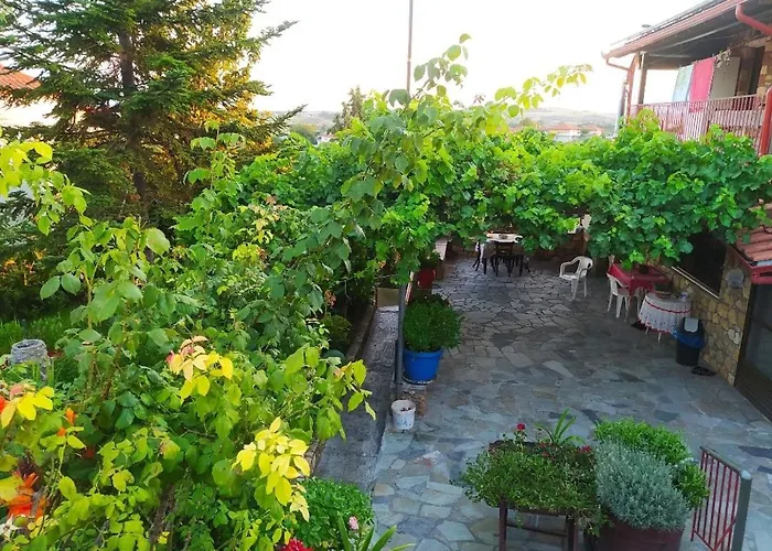 Sunflower * Sfendamion