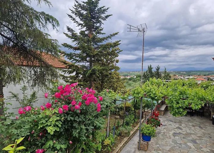 Sunflower * Sfendamion