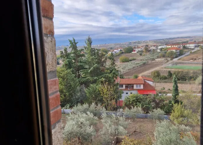 Sunflower Sfendamion